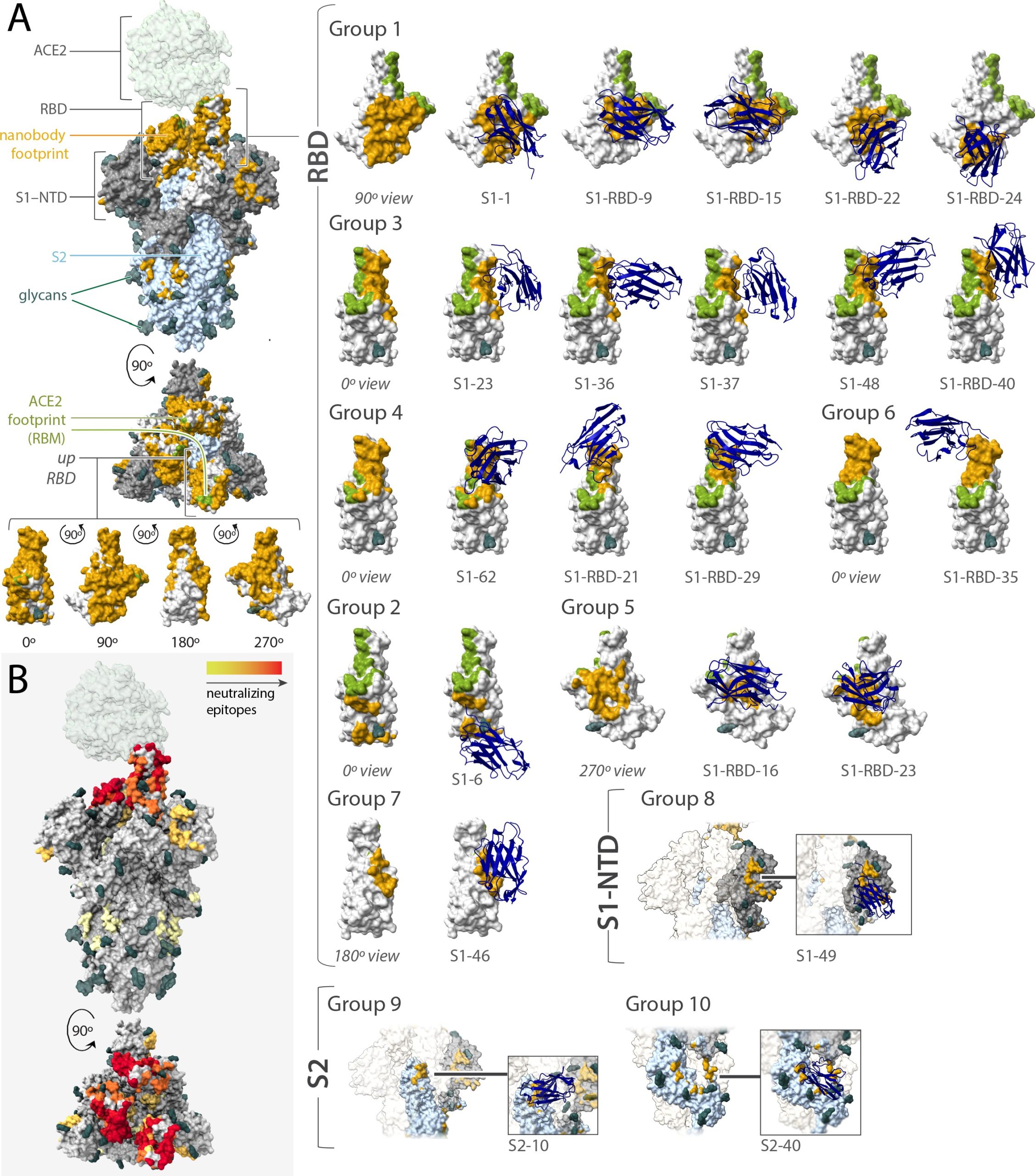elife-73027-fig6-v1