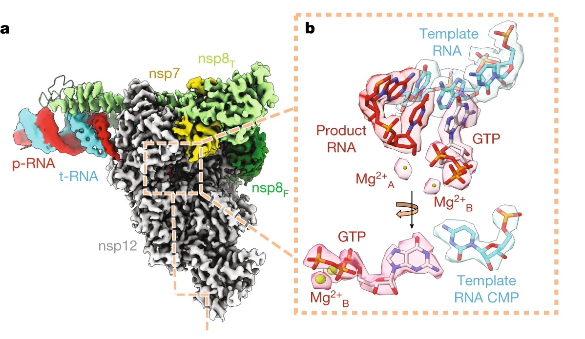 Figure2