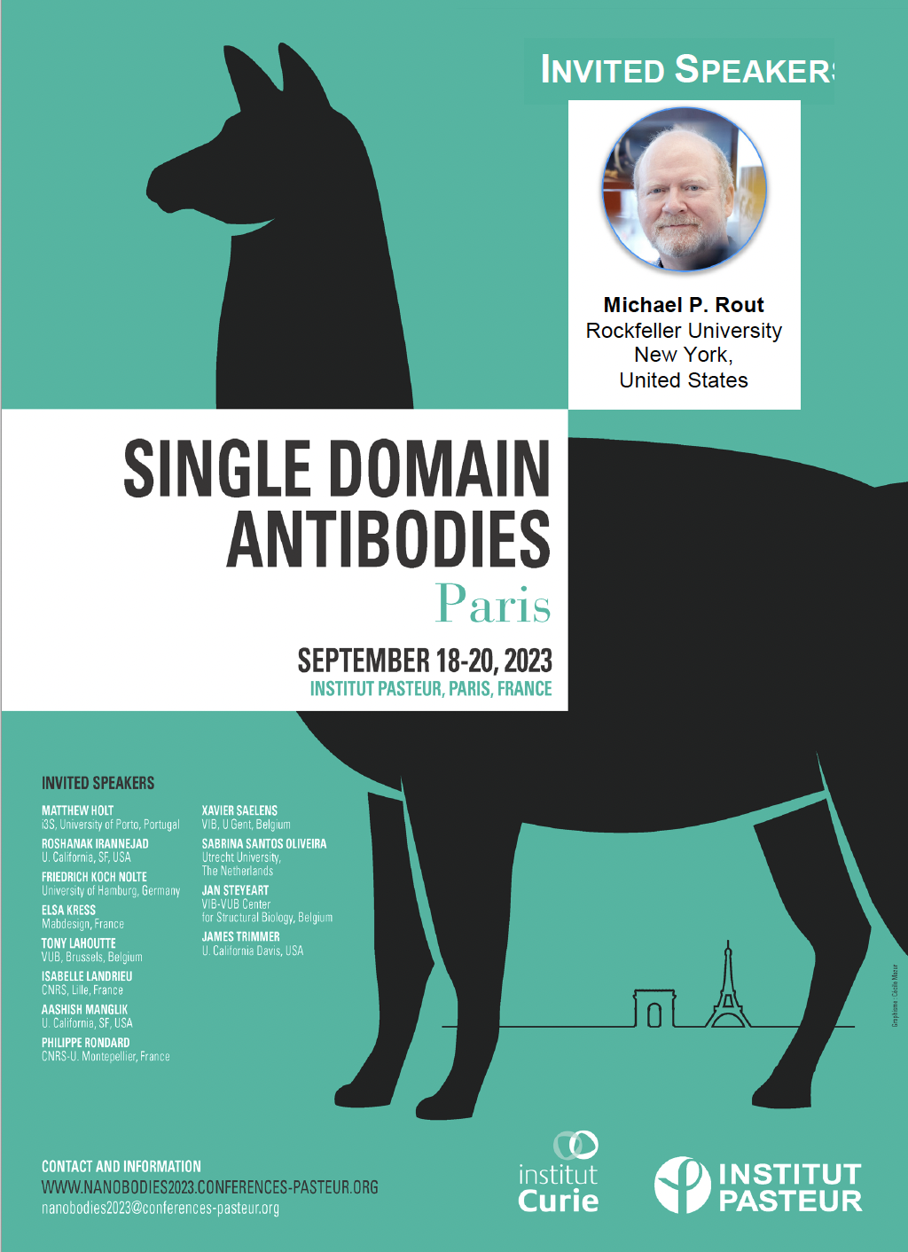 Single Domain Abs